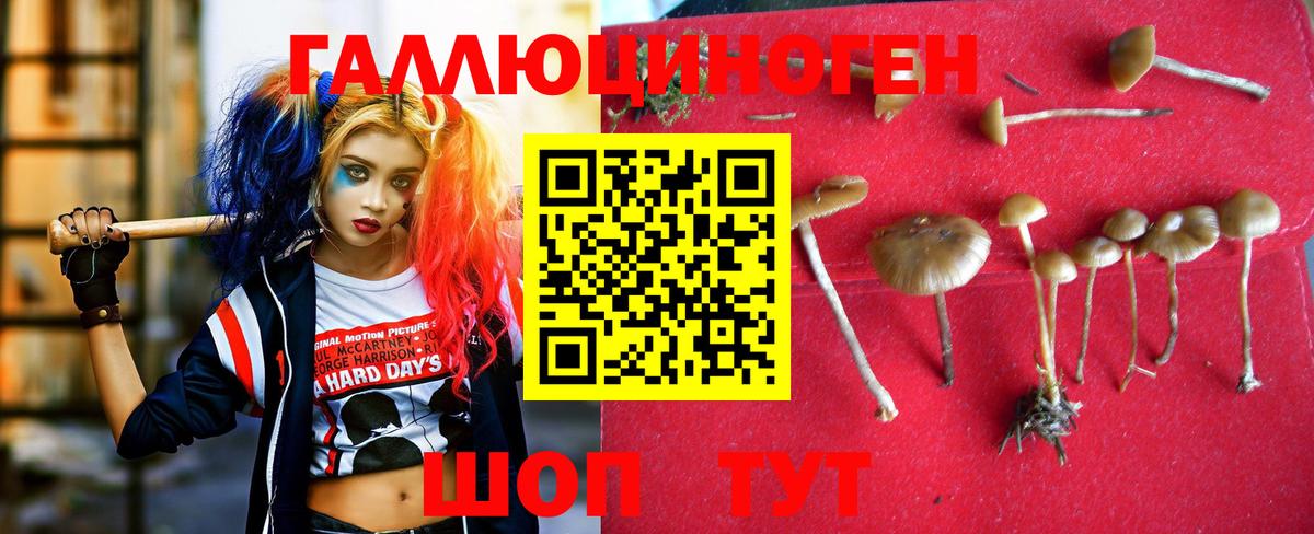 Галлюциногенные грибы Cubensis Кострома