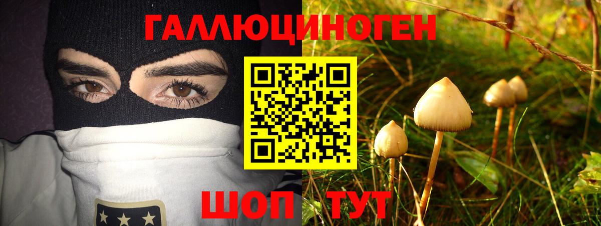 Кострома  Галлюциногенные грибы MAGIC MUSHROOMS  Вход с VPN 